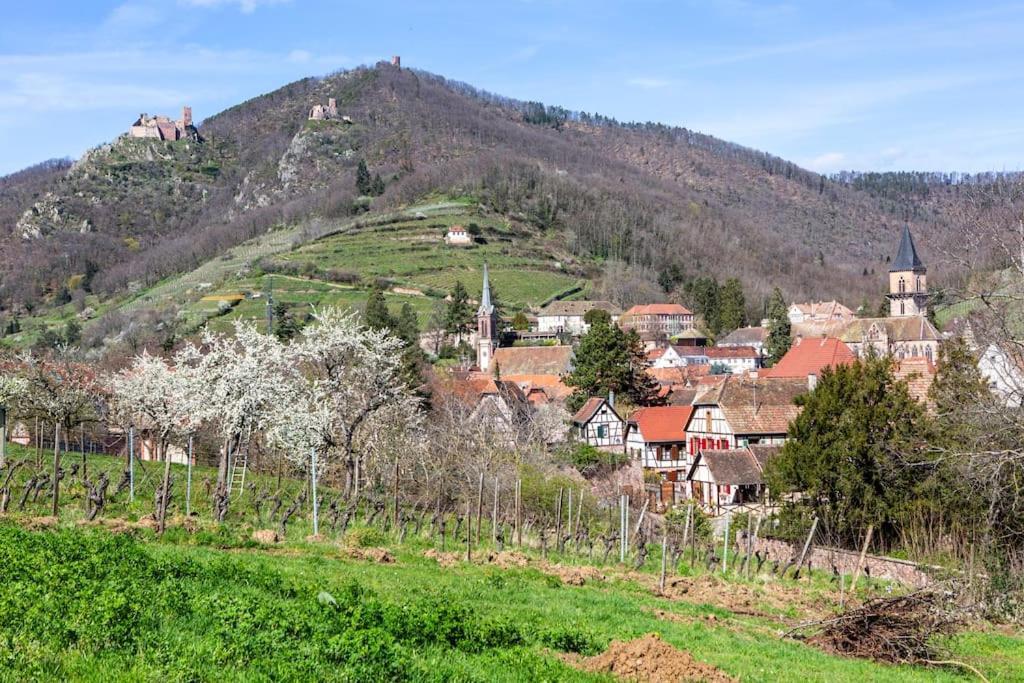 Le Gîte de Sandra Ribeauvillé Exterior foto